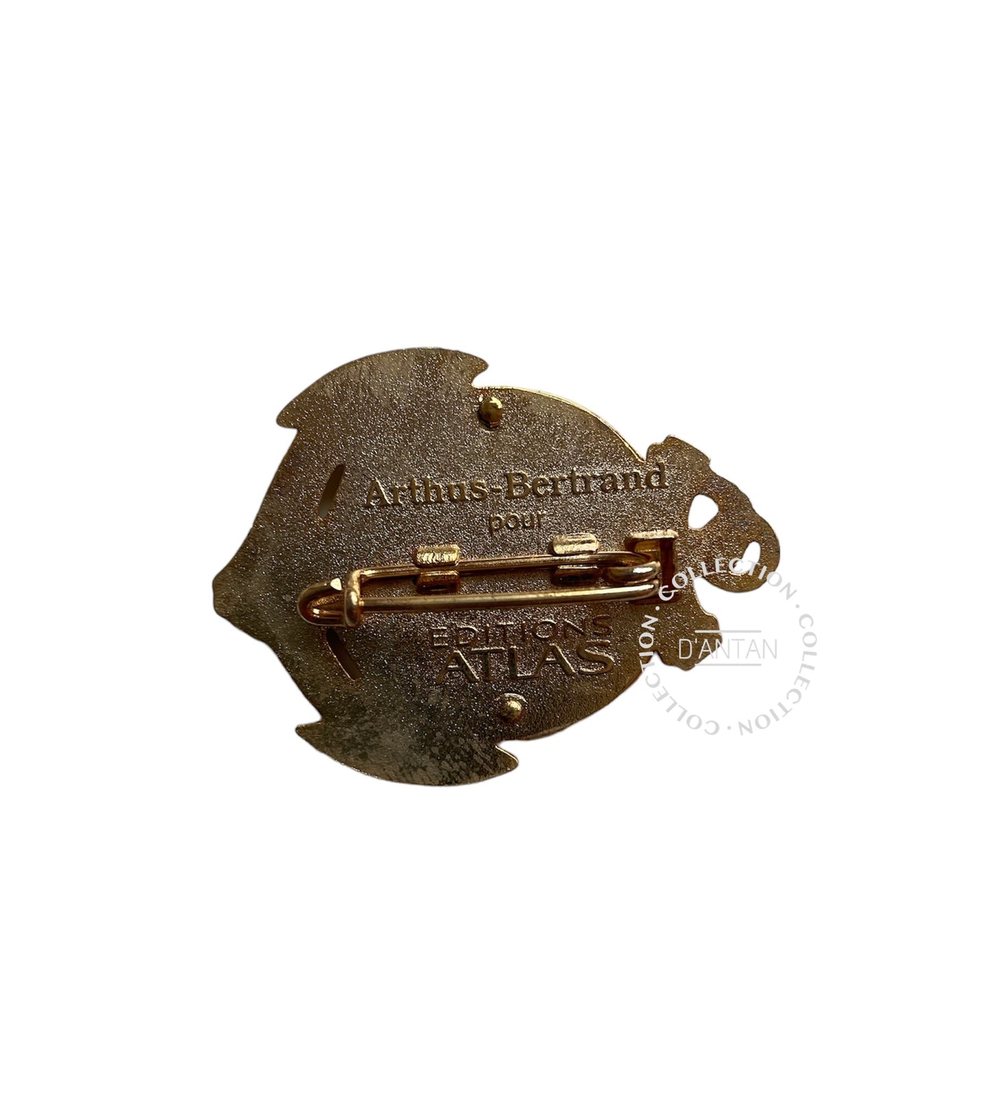 Insigne/Badge/Pucelle Militaire Français 5 ème RIAOM Régiment Inter Armes d’Outre Mer « Fier et Fort » Arthus Bertrand Édition Atlas.