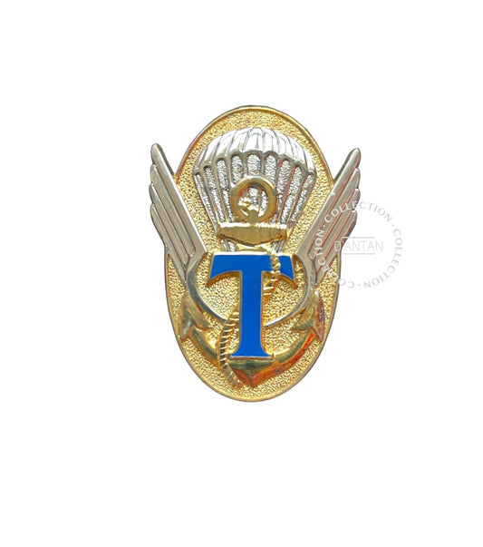 Insigne/Badge/Pucelle Militaire Français 342 ème CPT Compagnie Parachutiste de Transmissions Arthus Bertrand Édition Atlas.