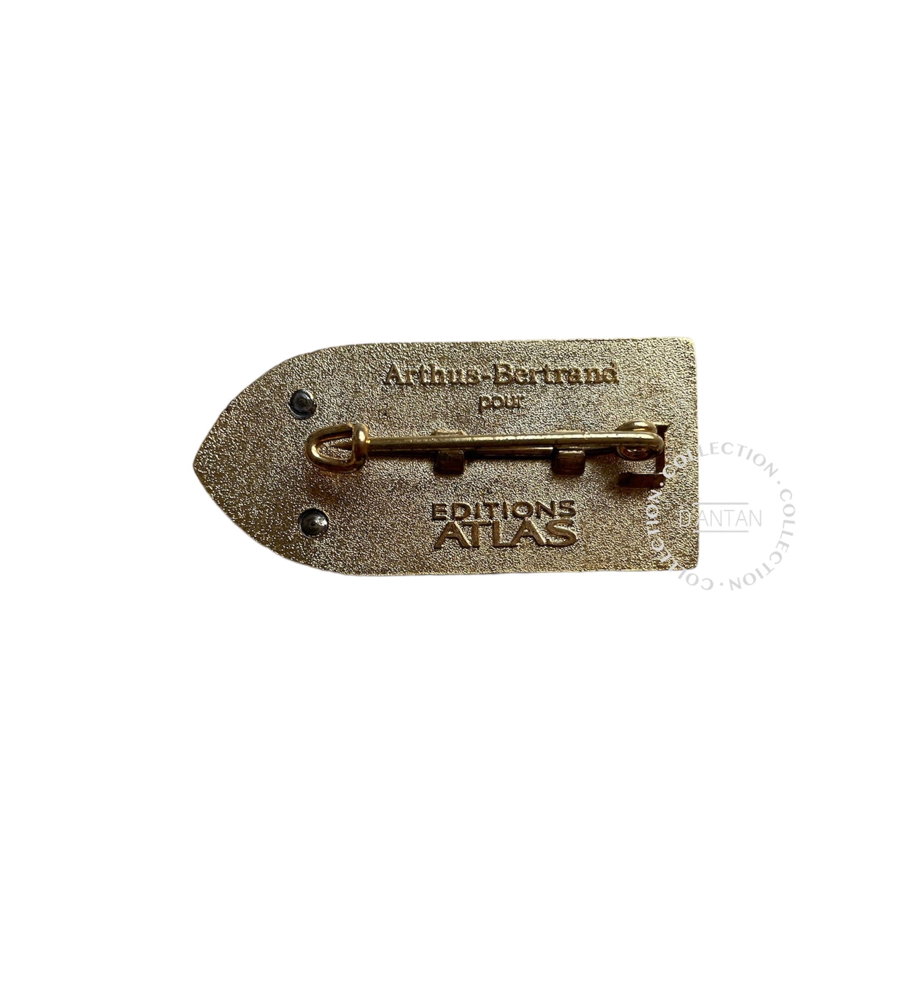 PUCELLE MILITAIRE INSIGNE Armée Française Opération Salamandre ALAT PUCELLE MILITAIRE INSIGNE Armée Française Opération Salamandre ALAT